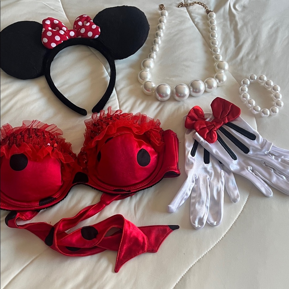 Minnie costume🔥